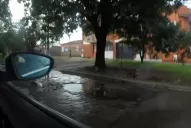 Una postal que se repite a diario: un río de cloacas en la calle México