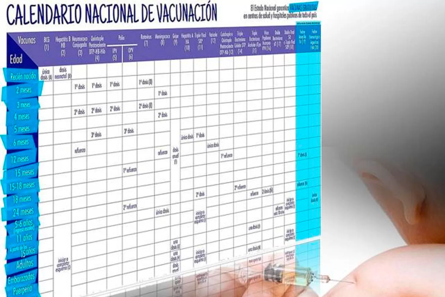 NUEVA LEY DE VACUNACIÓN. El calendario se hará obligatorio para realizar diversos trámites.