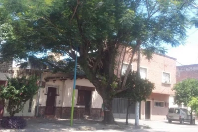 LG Whatsapp: quejas por un viejo árbol que está enredado en los cables de luz