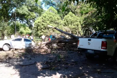 Un árbol cayó en el parque 9 de Julio y aplastó varios vehículos estacionados