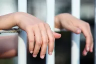 Imputabilidad: según Andhes, el plan vulnera los Derechos del Niño