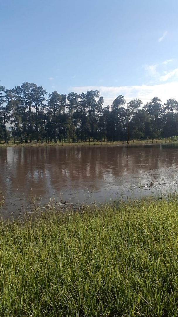  EVALUACIÓN. Los campos están en depresión y ya se perdieron cultivos.
