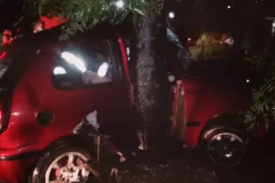 Un hombre sobrevivió de milagro tras chocar contra una palmera en la ruta 304