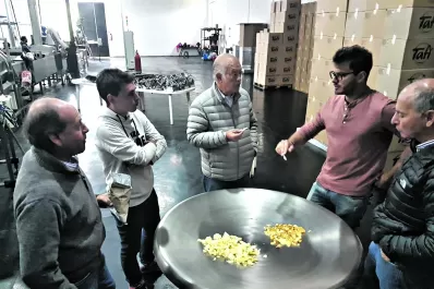 Verano 2019: papas fritas con sabor Calchaquí