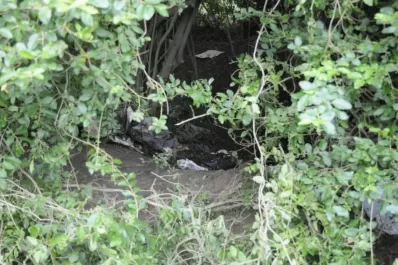 Apareció muerta la adolescente que estaba desaparecida en Santa Fe