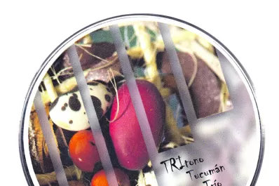 “Mestizo”: tres tonos donde habita la música