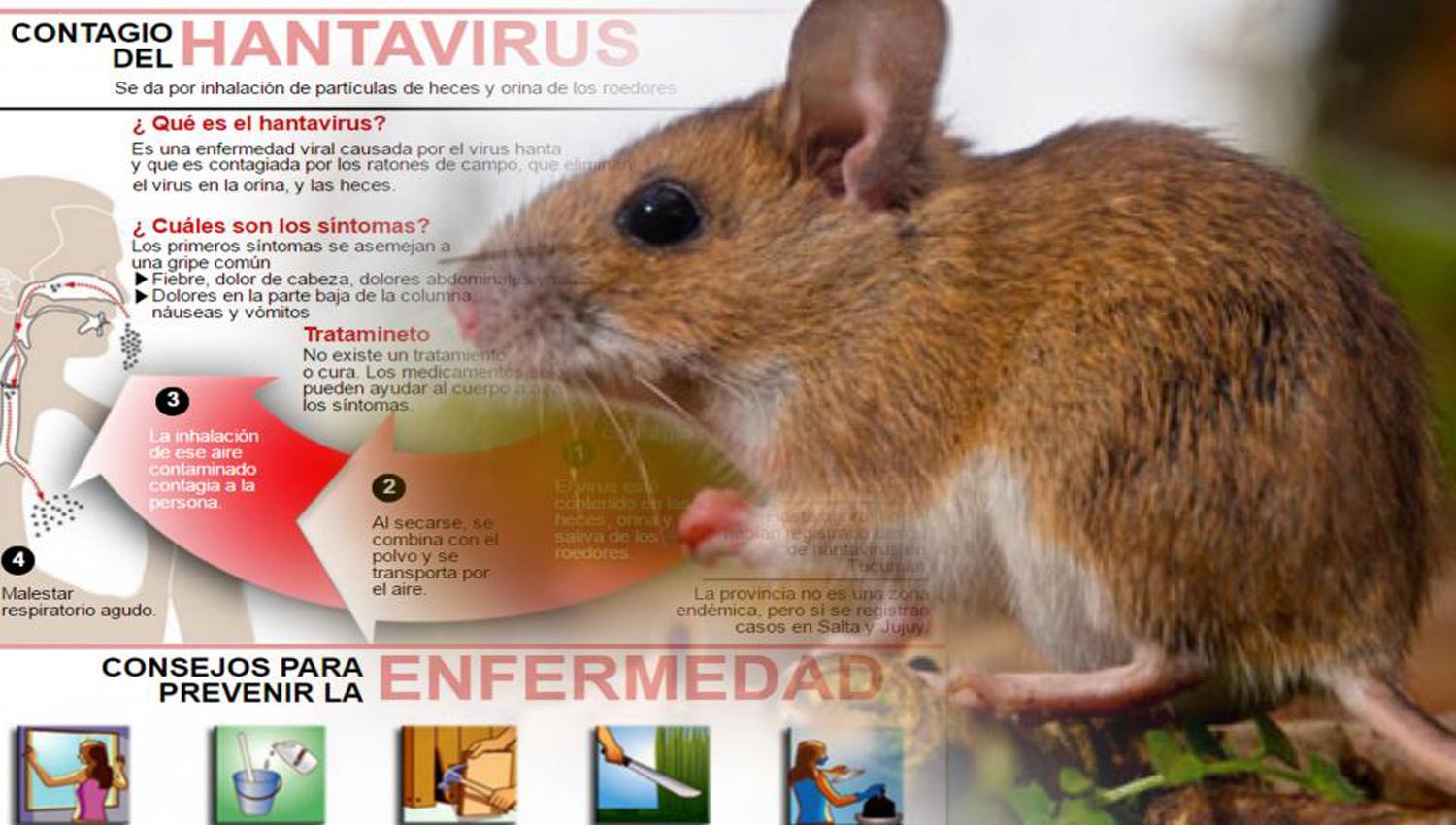 HANTAVIRUS. Se confirmó un caso 