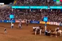 Video: polémica por la muerte de un caballo en el festival Jesús María