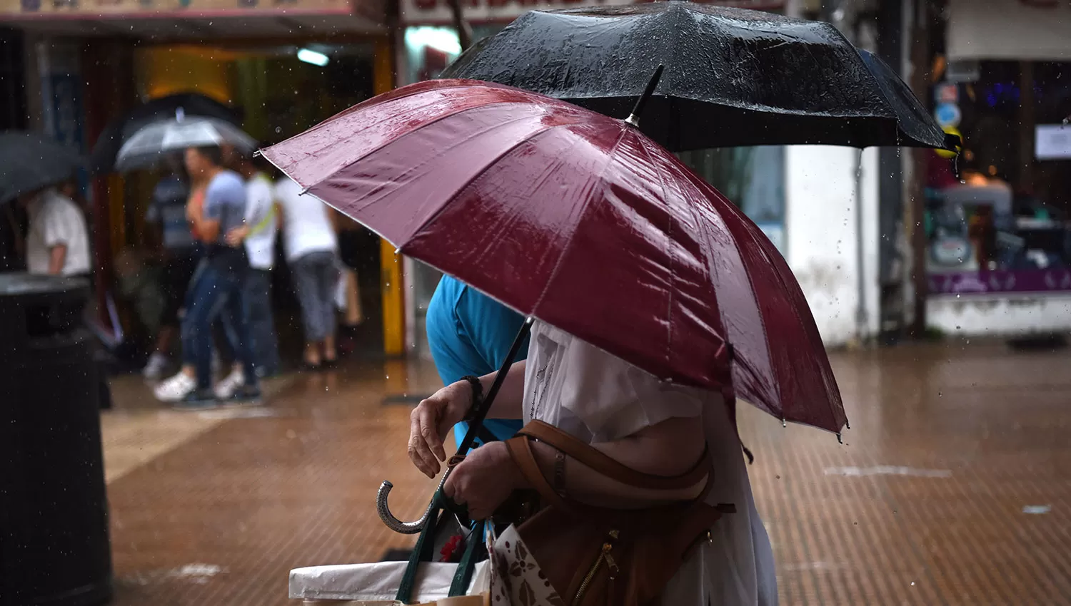 LA GACETA/FOTO DE ANALÍA JARAMILLO (ARCHIVO)