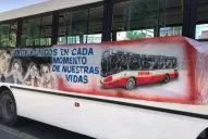 El chofer apuñalado regresó a su casa: gracias a Dios lo recuperamos, dijo su mamá