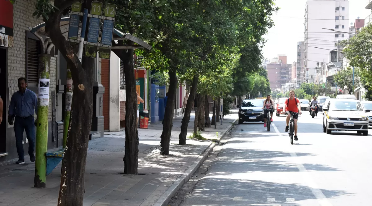 PARADA DESIERTA EN LA CALLE SANTIAGO. Los tucumanos debieron optar por transportes alternativos ante la falta de ómnibus en la provincia. la gaceta / fotos de Inés Quinteros Orio  