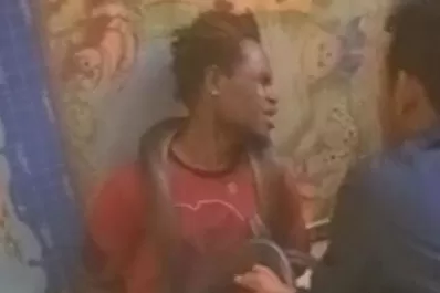 Indonesia: la Policía usó una serpiente enorme para interrogar a un detenido
