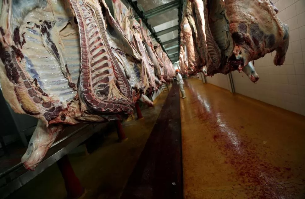 PARA AFUERA. El incremento de las exportaciones colocó a la Argentina en el séptimo lugar a nivel mundial.  reuters 