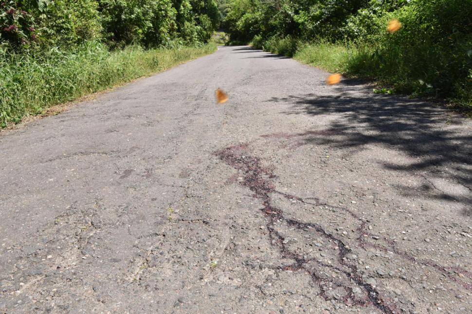 LUGAR DEL HECHO. El auto los embistió y provocó la muerte de la chica.  