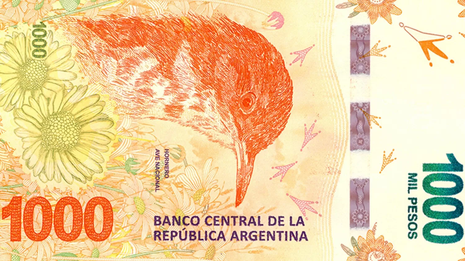 Advierten sobre los billetes de $ 1.000 falsos: qué hay que saber para detectarlos