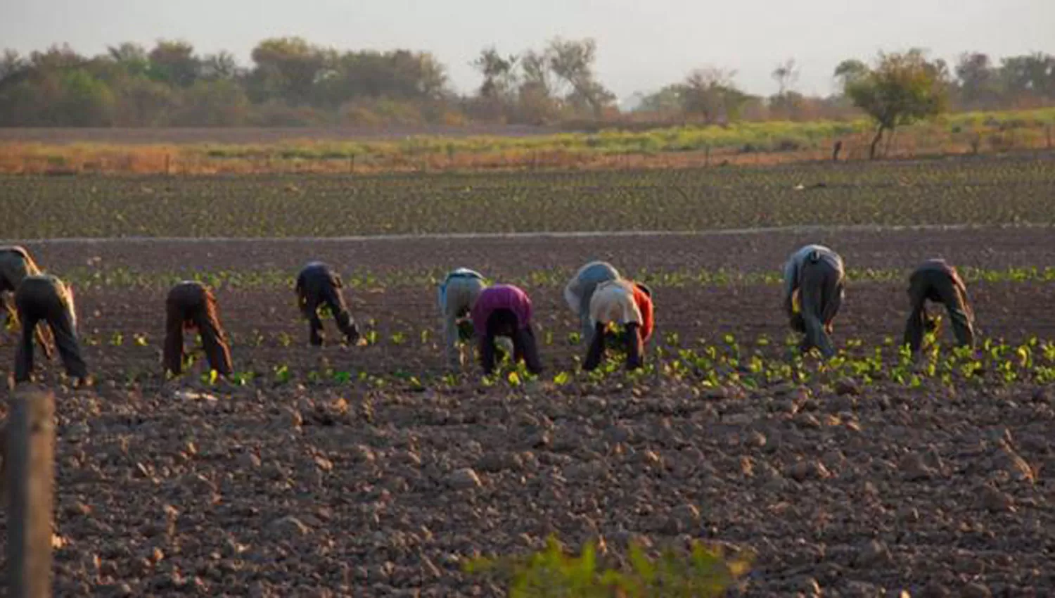 Unos 12.000 trabajadores rurales se quedaron sin cobrar las asignaciones familiares