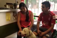 La legisladora Assán rechazó el maltrato animal: Macaco goza de perfecta salud