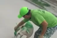 Alito y Sara Assán quieren adoptar al perro verde