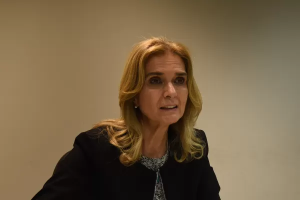 Legisladores de Cambiemos se alinean tras Elías de Pérez