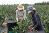 Impuestos y retenciones afectan al productor