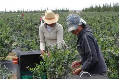 Impuestos y retenciones afectan al productor