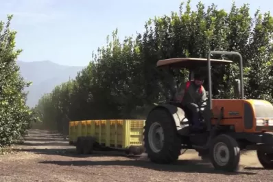 Los citricultores reclaman que se elimine el Derecho de Exportación