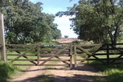 “Unos 4.000 cañeros chicos no tienen posibilidad de financiarse y pueden desaparecer”