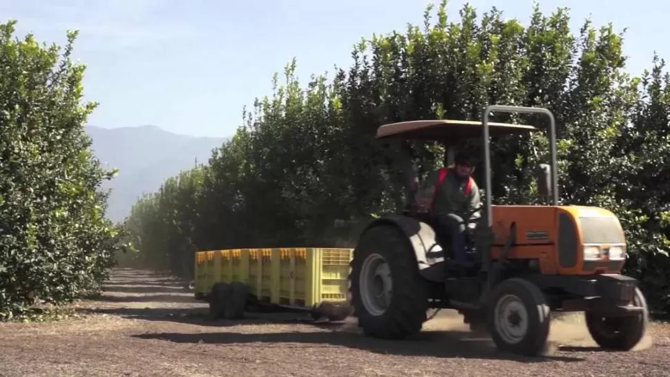 CORTO PLAZO. Son varios los temas solicitados por los productores. 