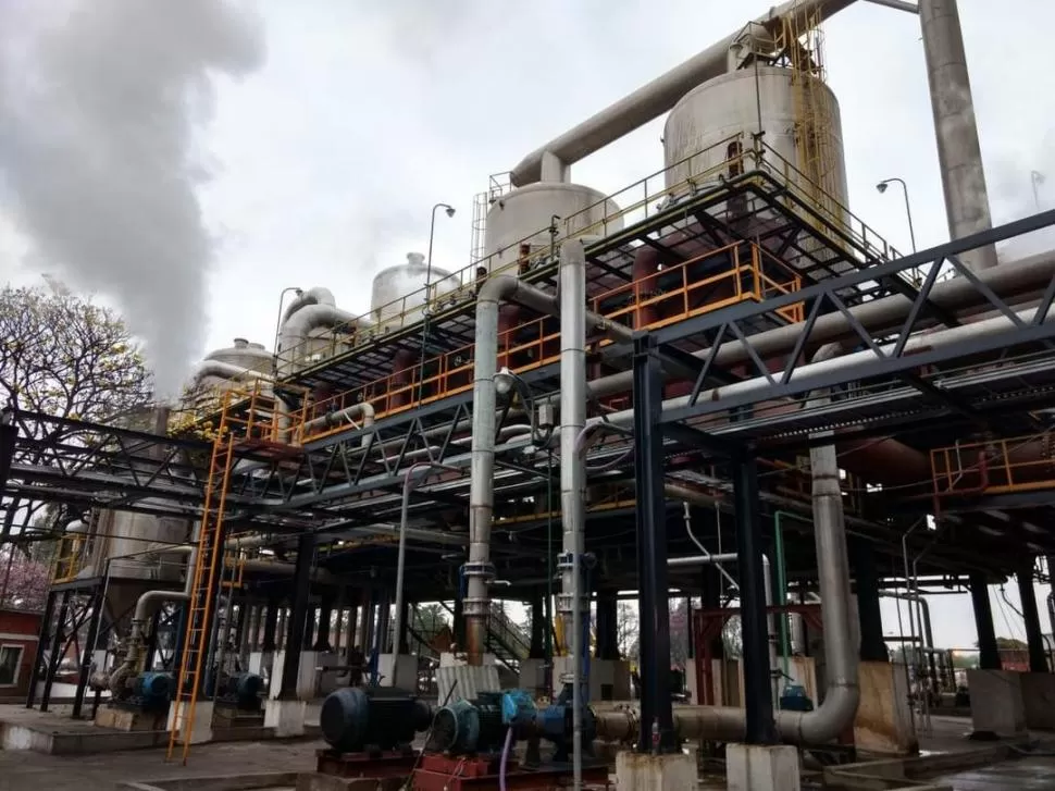 POTENCIAL PRODUCTIVO. Los establecimientos tucumanos tendrán la oportunidad de mostrar sus procesos.  