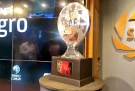 Presentaron la Copa de la Superliga: cómo se jugará y cuándo será la final