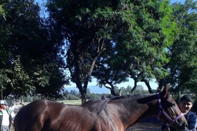 Turf: reunión de primer nivel