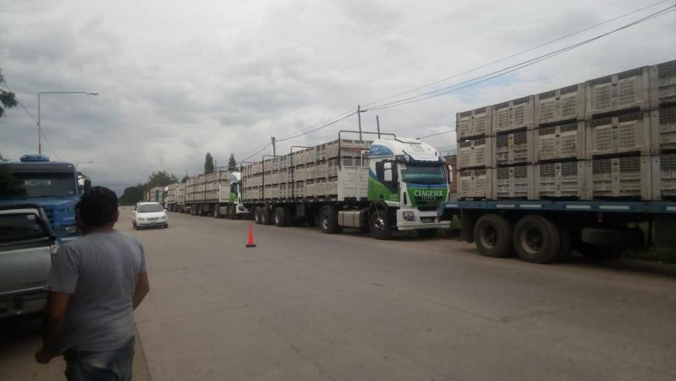 Los citricultores piden a los transportistas que dejen trabajar libremente a la actividad