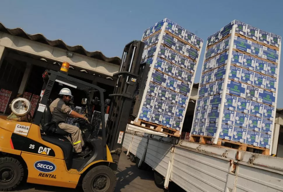 EMPAQUETADAS. La fruta está lista para llegar al puerto, pero los camioneros mantienen el paro de actividades. la gaceta / foto de hector peralta