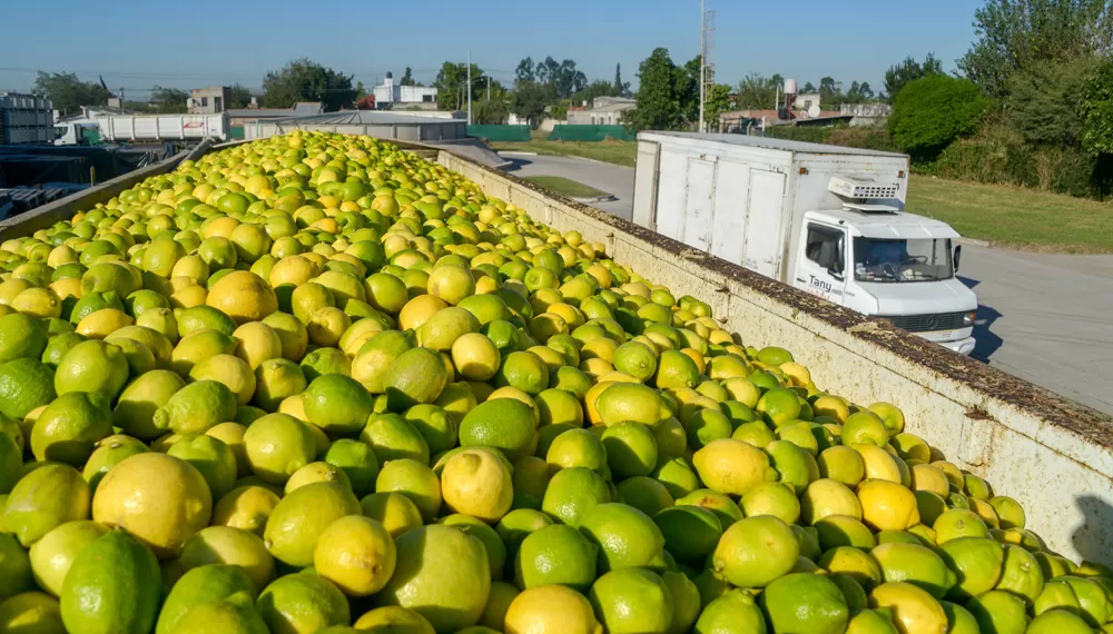 Se abre el diálogo y la campaña citrícola vuelve a su cauce normal