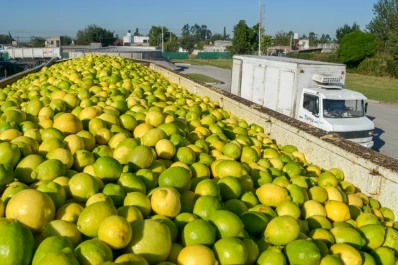 Se abre el diálogo y la campaña citrícola vuelve a su cauce normal