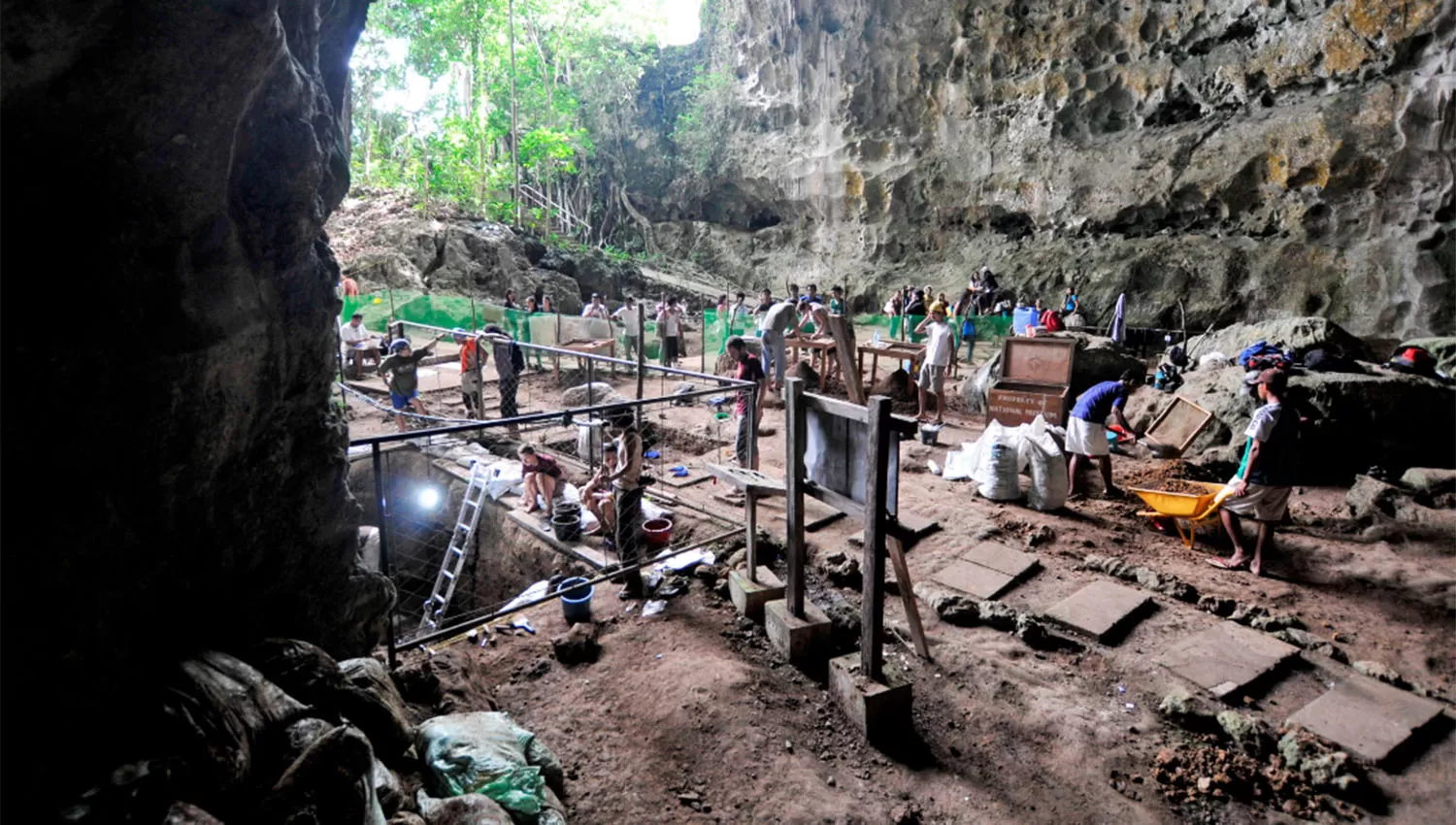 Descubren una nueva especie humana en Filipinas: Homo Luzonensis