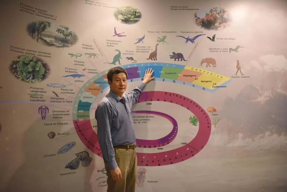 EL DEDO EN LA HISTORIA. Secretos de esa curva de la espiral evolutiva son los que desentraña Xing Xu. LA GACETA / FOTO DE ANALÍA JARAMILLO.- 