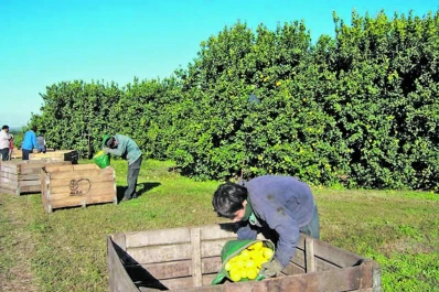 ACNOA presentró el Convenio de Responsabilidad Gremial