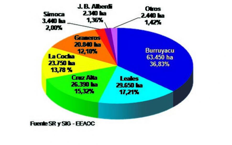 Siembran menos soja (11%) y más maíz (21%)