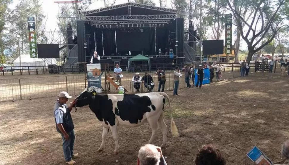 TRABAJO: La lechería es una actividad fundamental para el norte provincial. GENTILEZA SOCIEDAD RURAL DE TUCUMÁN.