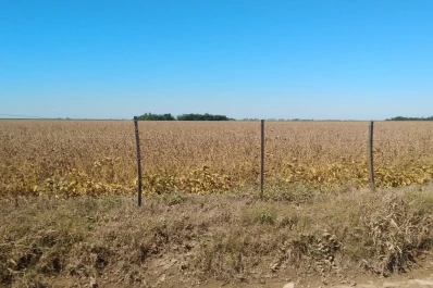 “Si las lluvias aumentan pueden afectarse los rindes”, opinó Asson