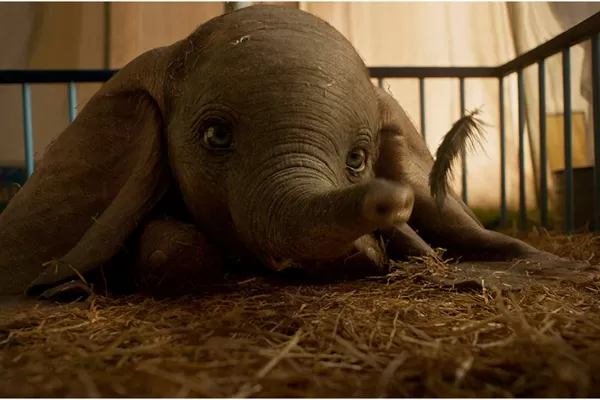 Armá tu agenda: toda la oferta en cine y entretenimientos para hoy