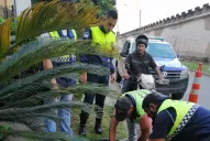 La Ley de Motochorros no alcanzó para lograr que bajen algunos índices delictivos