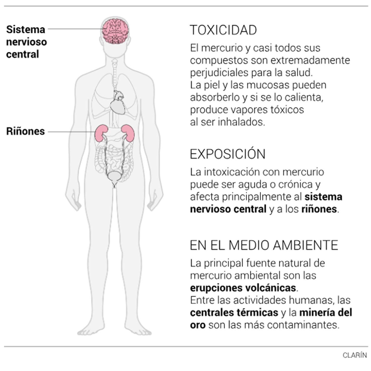 Cien toneladas de mercurio pasaron por Tucumán en las últimas horas