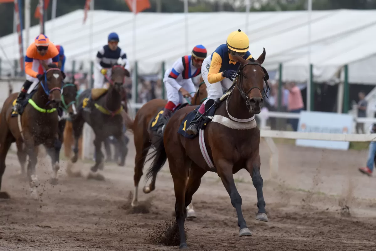 Turf: el ganador del “Batalla” se destaca en el cotejo central 