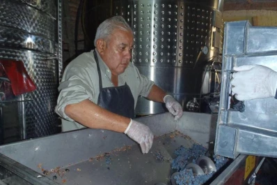 “La buena ‘calicha’ generó excelentes uvas Syrah”