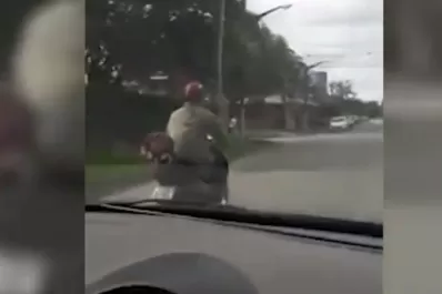 La mujer que persiguió a un supuesto ladrón: pude chocarlo, pero no soy ese tipo de persona