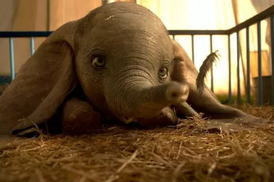 Armá tu agenda: toda la oferta en cine y entretenimientos para hoy