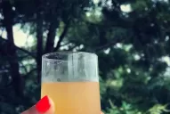 Kéfir: qué contiene y cómo actúa en el organismo la bebida que se volvió tendencia