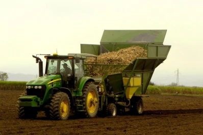 La plantación mecánica de caña es una realidad
